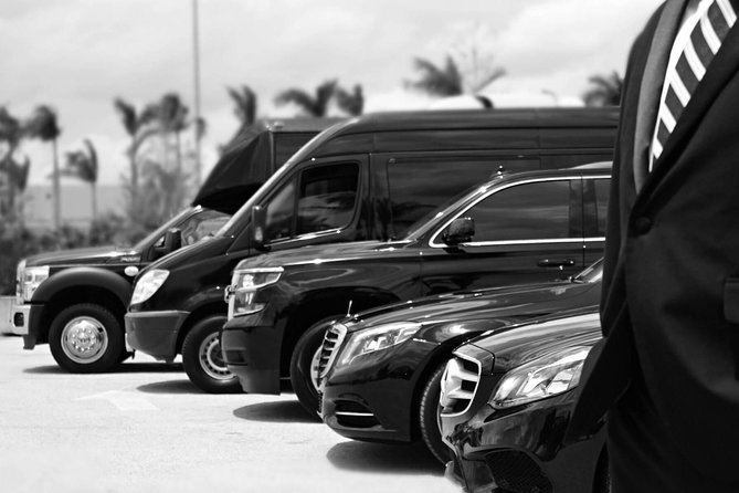 Private Chauffeur and Minivan for Your Tours or Business Needs. - Good To Know