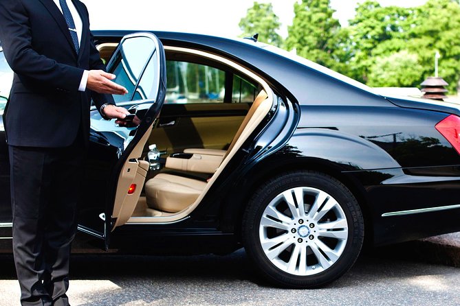 Private Chauffeured and Historian Guided City Tour of New Orleans - Tour Details
