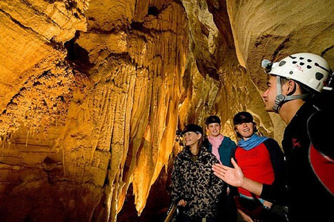 Private Chauffeured Tour of Waitomo Caves - Thousands of Glowworms in the Caves
