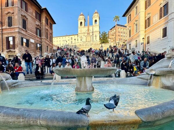 Private Chauffeured Tour With Food Tasting With Paired Wine - Important Information and Restrictions