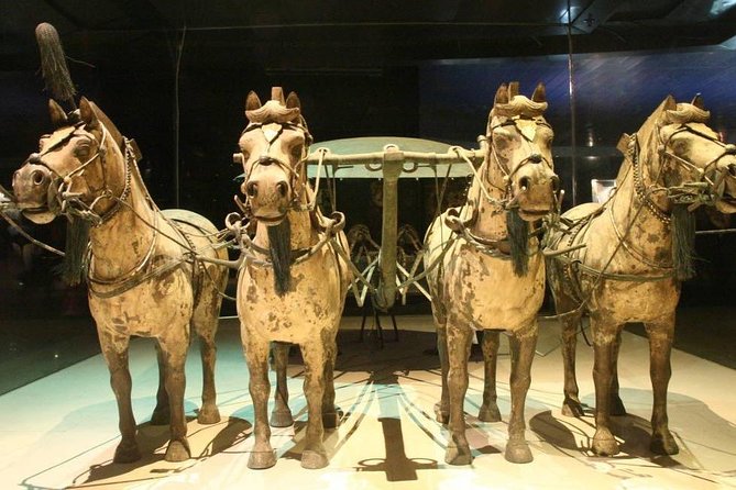 Private Chengdu Bullet Train Trip to Xian: Terracotta Warriors and City Wall - Reviews