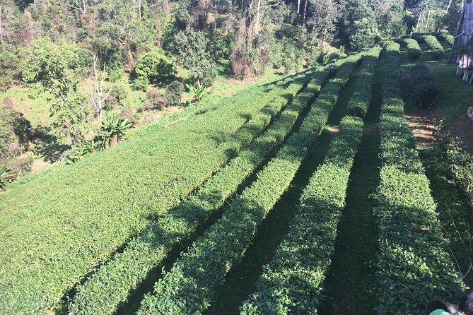 Private Chiang Mai-Chiang Rai Highlights 4 Days Trip - The Sum Up