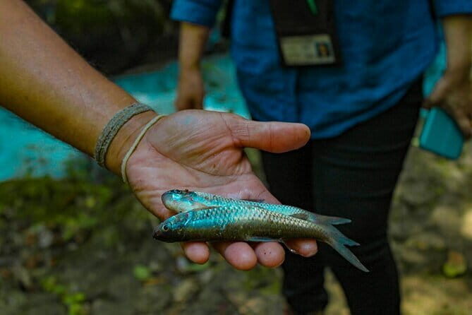 Private Chiang Mai Nature Hiking Visiting Karen Tribe Village - FAQ