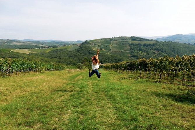 Private Chianti and Supertuscan Tour 2 Wineries With Light Lunch From Livorno - Tour Details