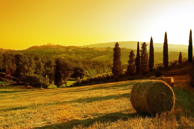 Private Chianti and Supertuscan Tour 2 Wineries With Light Lunch From Livorno - The Sum Up