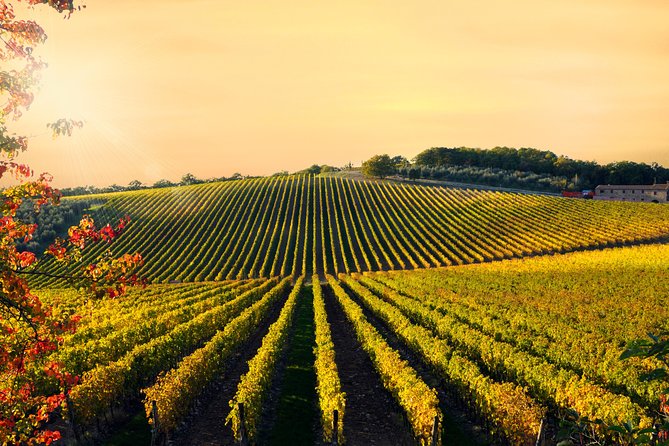 Private Chianti Classico Tour With Wine and Food Tasting in a Historic Estate - Enjoyable Wine Tasting Experiences