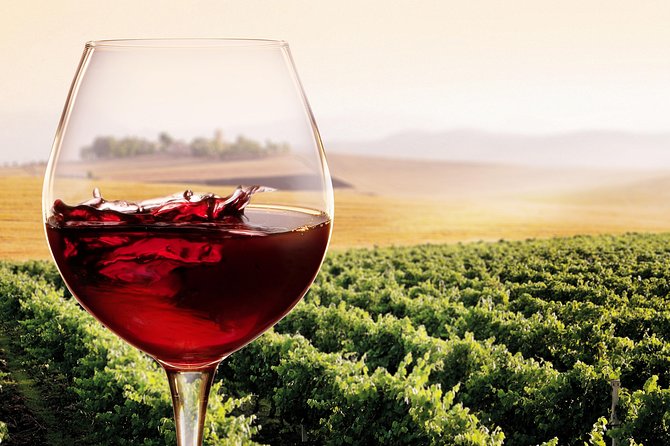 Private Chianti Classico Tour With Wine and Food Tasting in a Historic Estate - Exploring the Breathtaking Countryside