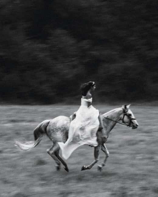 Private Chianti Horseback Riding Wine Tasting + Lunch - Exploring the Private Chianti Horseback Riding, Wine Tasting, and Lunch Experience