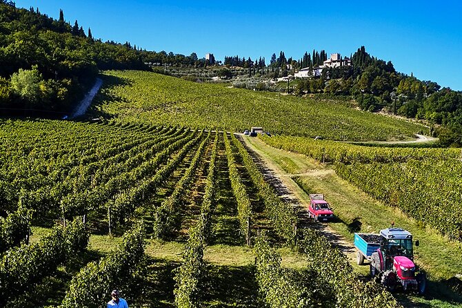 Private Chianti Tour and Wine Tasting - Cancellation Policy