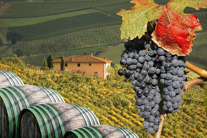Private Chianti Tour and Wine Tasting - Common Questions