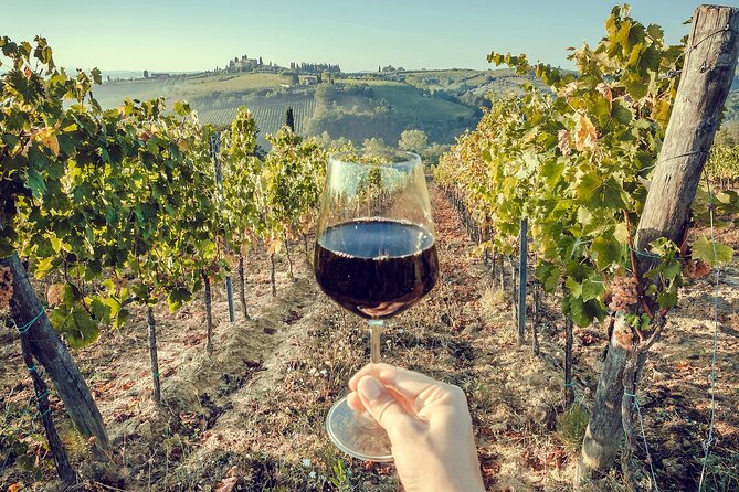 Private Chianti Tour and Wine Tasting - The Sum Up
