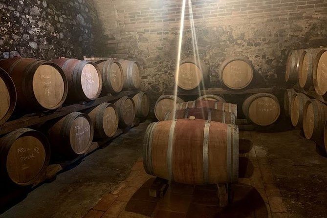 Private Chianti Wine Tour - Tour Description