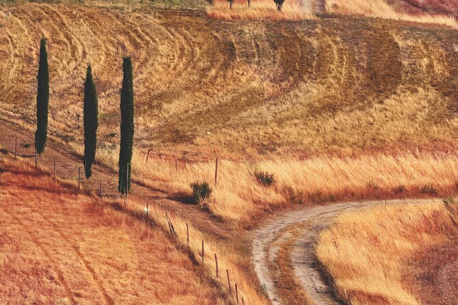 Private Chianti Wine Tour - Frequently Asked Questions