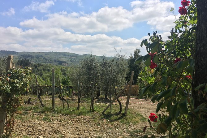Private Chianti Wine Tour - Cancellation and Refund Policy