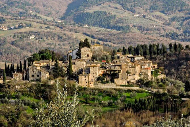 Private Chianti Wine Tour Leaving From Florence - The Sum Up