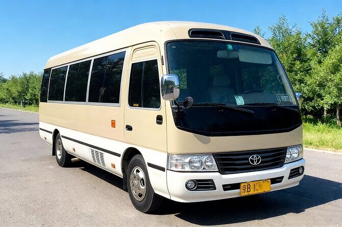 Private Chongqing International Airport Departure Transfer from City Hotels - Who Should Consider This Service?