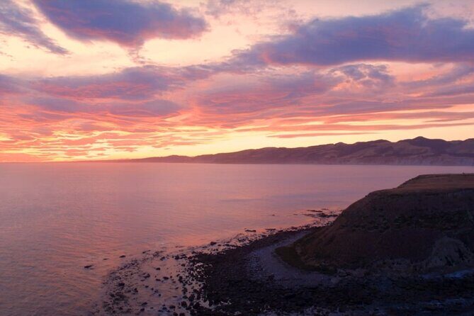 Private Christchurch City Highlight Half Day Tour - What’s Included and What’s Not?