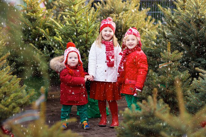 Private Christmas Card Photoshoot in Barcelona - Booking Details