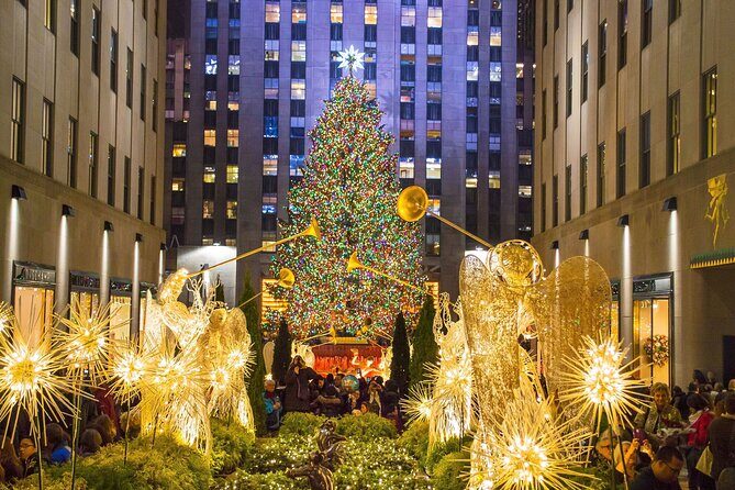 Private Christmas Lights Horse Carriage Tour In New York City - Detailed Breakdown of the Itinerary