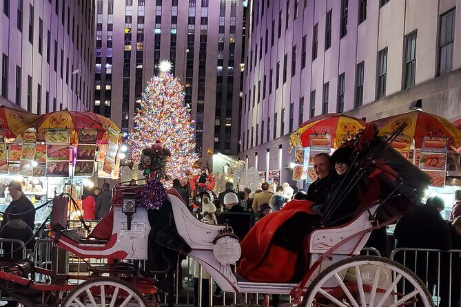 Private Christmas Lights Horse Carriage Tour In New York City - FAQs