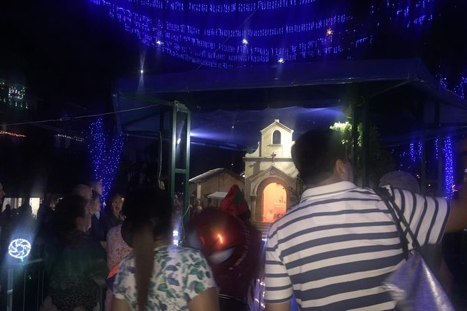 Private Christmas Lights Tour in Medellin - Pricing and Booking Details