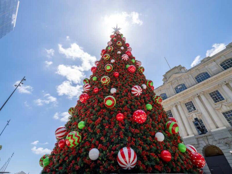 Private Christmas Walking Tour in Auckland City Lights - Who Would Love This Tour?