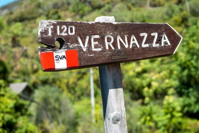 Private Cinque Terre Tour From Florence With Optional Hike - Restrictions
