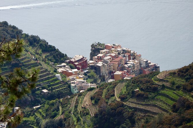 Private Cinque Terre Trekking Tours - Knowledge and Expertise