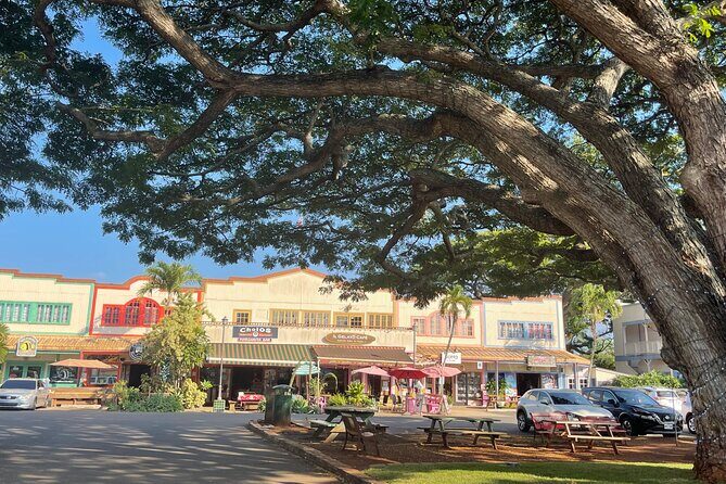 Private Circle Island Tour North Shore and East Side - Who Is This Tour Best For?