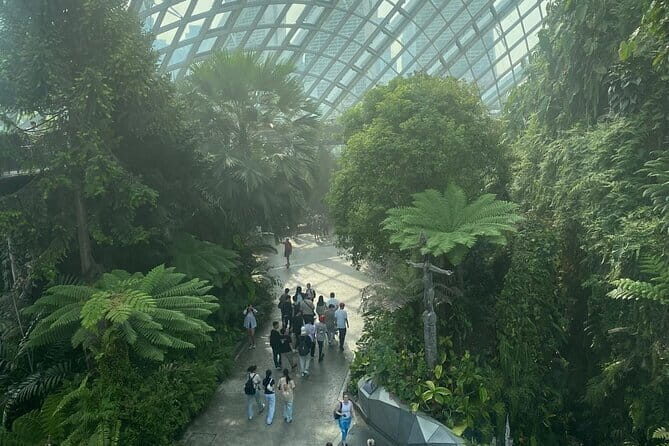 Private City Car Tour Singapore (4 Hours or 8 Hours) - What Sets This Tour Apart?