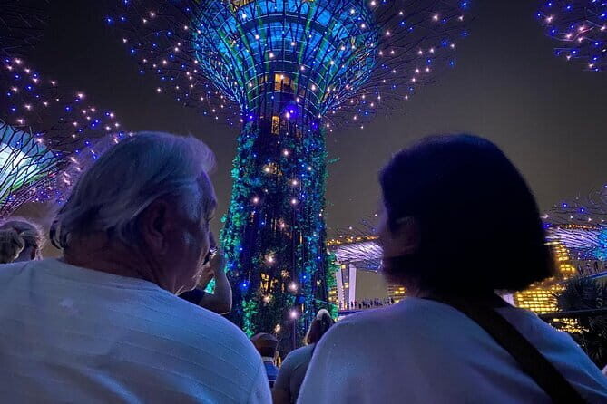 Private City Car Tour Singapore (4 Hours or 8 Hours) - Value for Money