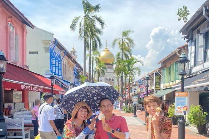 Private City Car Tour Singapore (4 Hours or 8 Hours) - Good To Know