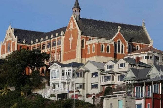 Private City Heights Wellington 5 Hour Tour - Tour Details