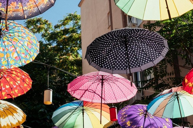 Private City Kickstart Tour: Istanbul - Terms and Conditions Overview