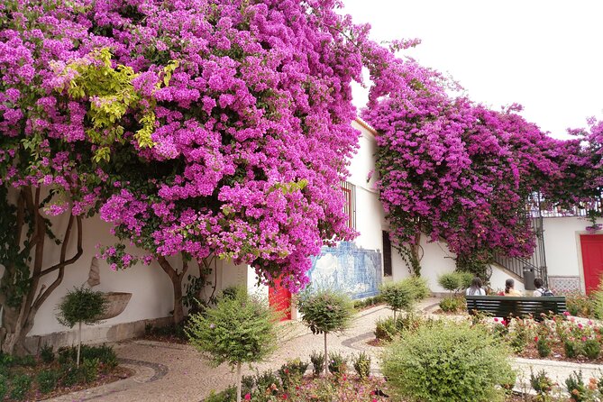 Private City Tour: Highlights of Lisbon - Explore the Lavish Igreja and Museu São Roque