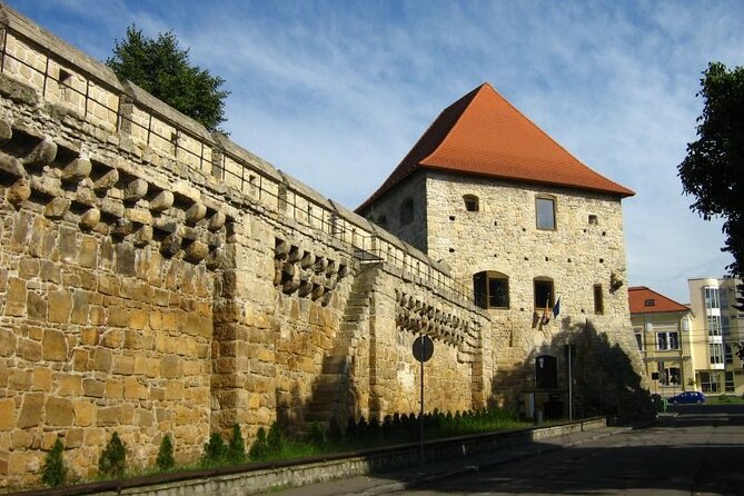 Private City Tour in Cluj-Napoca - Additional Information