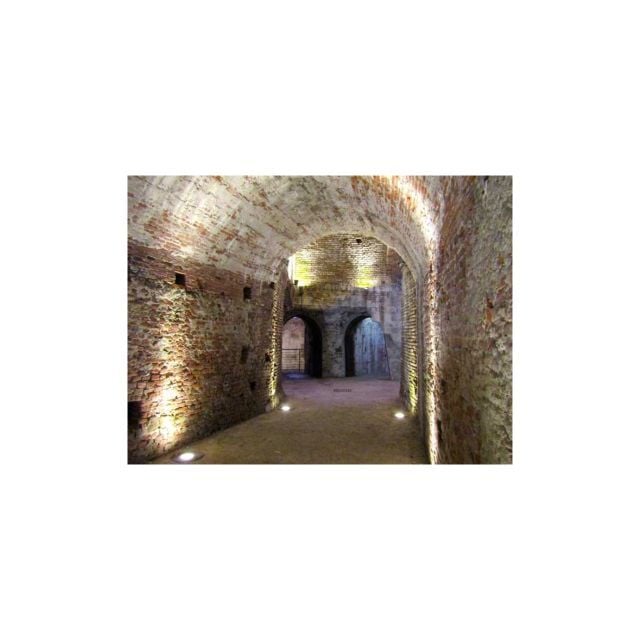 Private City Tour in Lucca Half Day - Highlights