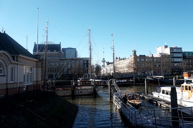 Private City Tour in Rotterdam - The Sum Up