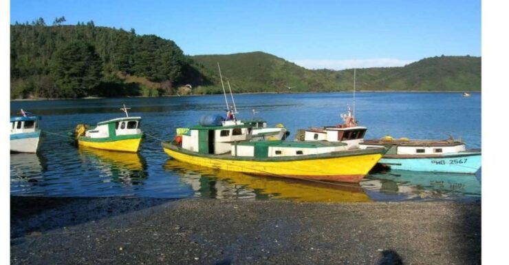 Private. City Tour Puerto Montt and Puerto Varas - Experience Highlights