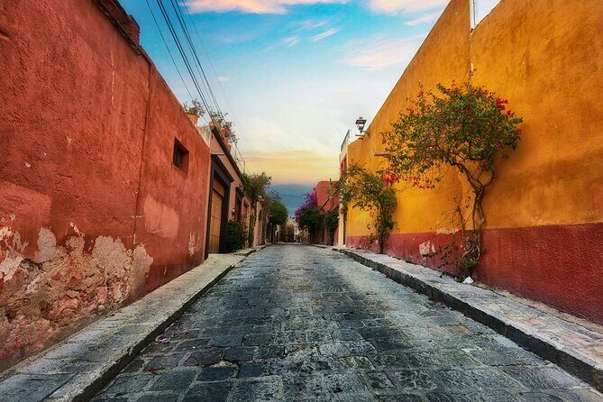 Private City Tour San Miguel de Allende - Who Would Love This Tour?