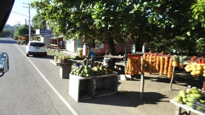 Private: City Tour with Lunch, Rum, and Chocolate - Final Thoughts