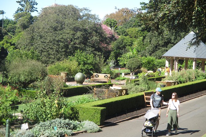 Private City Walking Tour From Your Hotel - Customized Itinerary and Personalized Experience