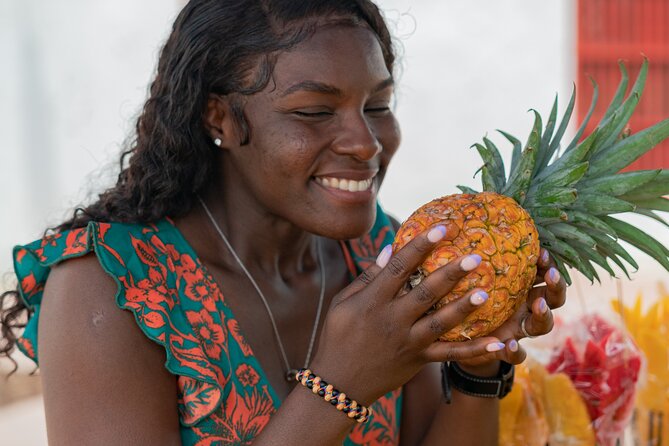 Private Citytour in the Colonial Cartagena to Shore Excursions - Tour Inclusions and Meeting Point