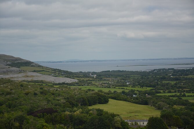 Private Cliffs of Moher, Burren and Wild Atlantic Way Tour From Galway - Additional Information