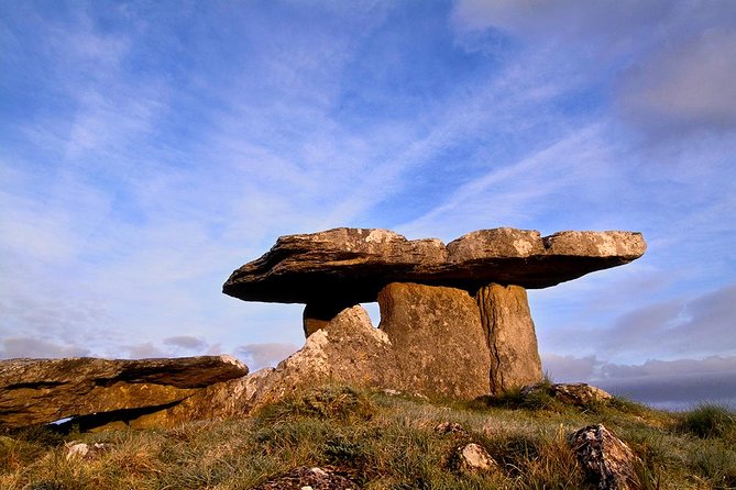 Private Cliffs of Moher Day Tour - Traveler Reviews