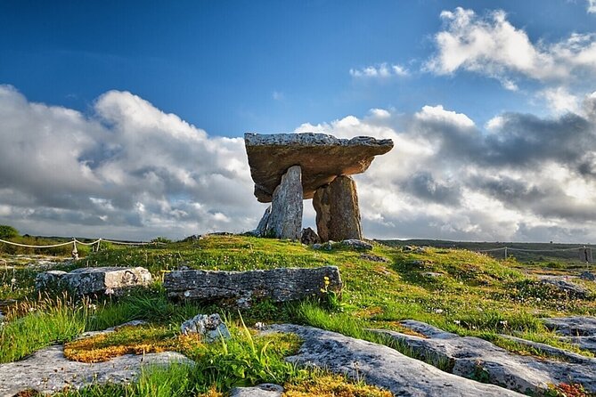 Private Cliffs of Moher Tour for Small Group in Galway - Tour Details