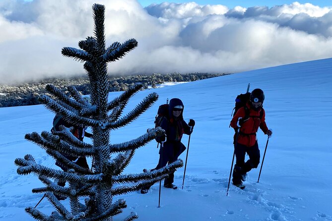 Private Climb to Llaima Volcano - Trip Overview