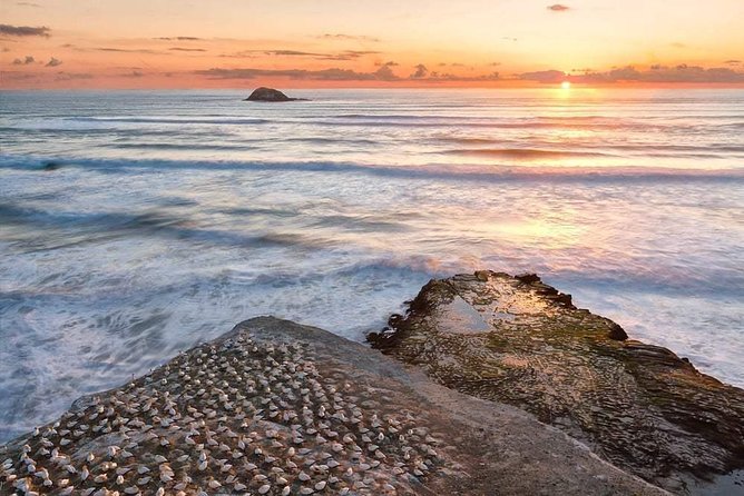Private Coast to Coast Luxury Eco Tour - Booking and Contact Information