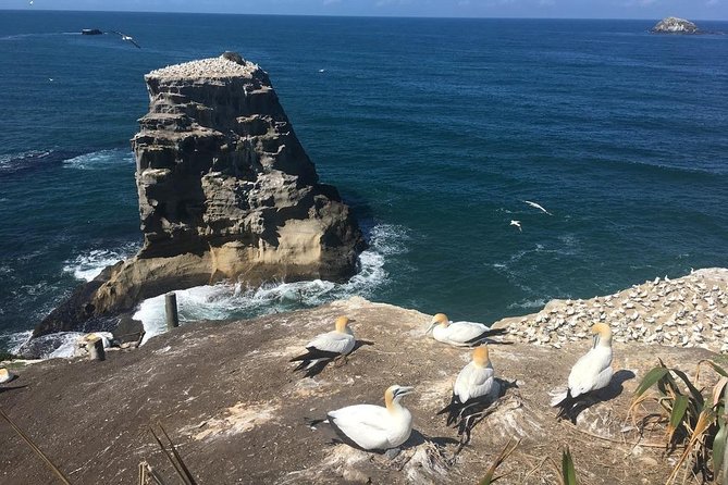 Private Coast to Coast Luxury Eco Tour - Common Questions