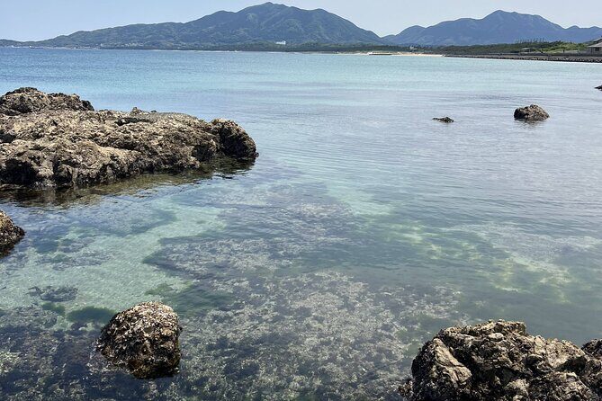 Private Coastline Ebike Tour in Fukuoka - Discovering Fukuokas Coastal Charm on a Private Ebike Tour